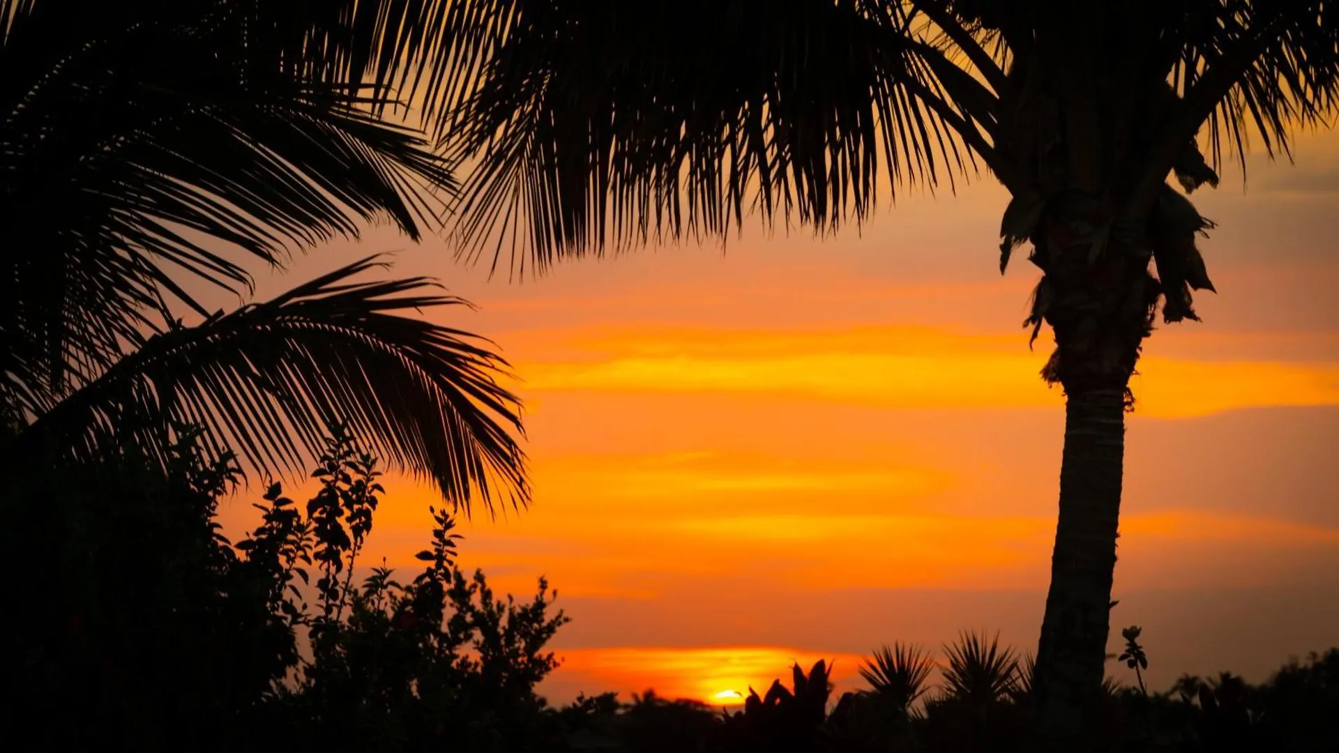 Starry Nights Dreamy 4Br Ainamalu Home With Mountain View Waikoloa