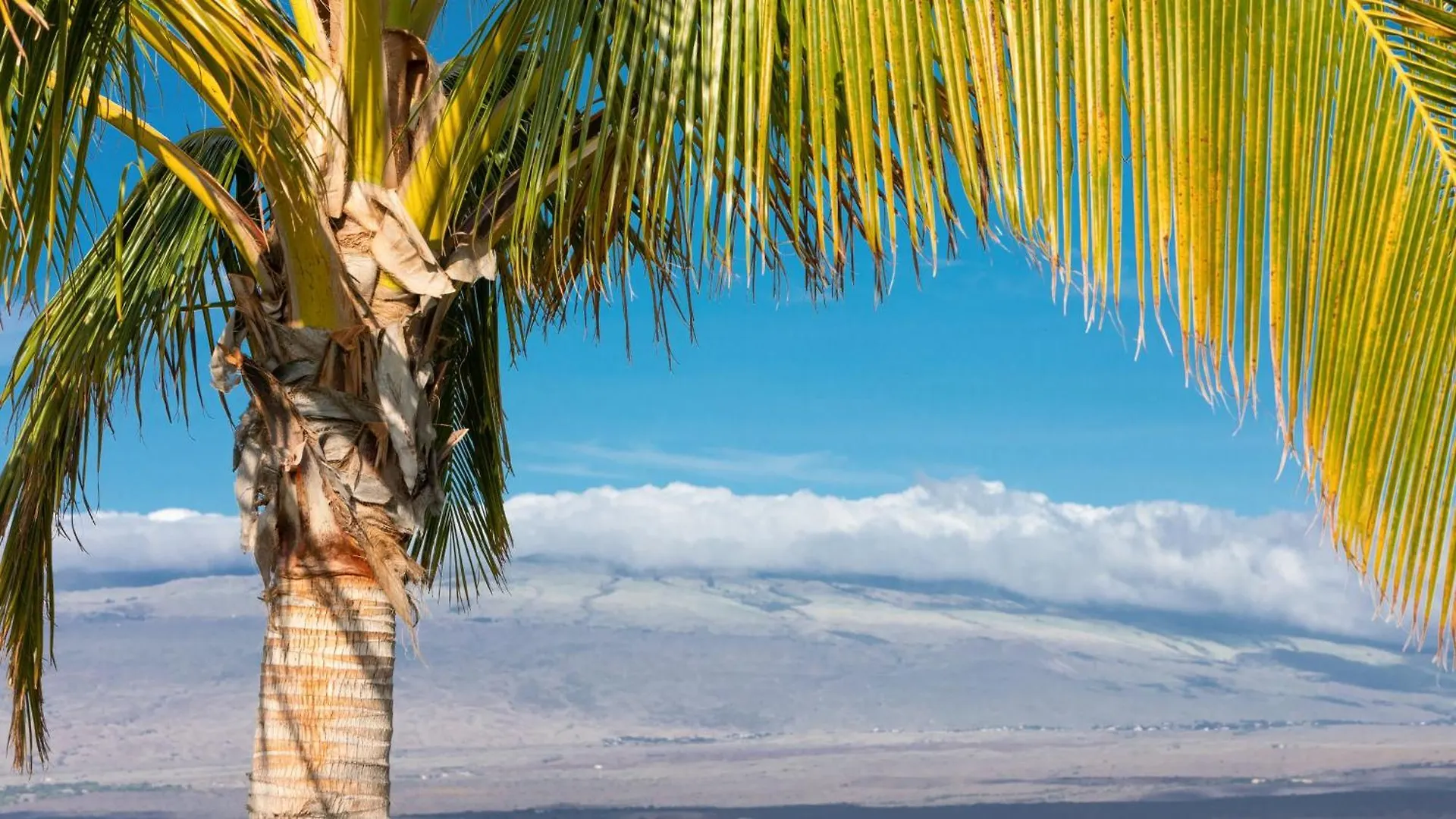 Dom wakacyjny Starry Nights Dreamy 4Br Ainamalu Home With Mountain View Waikoloa